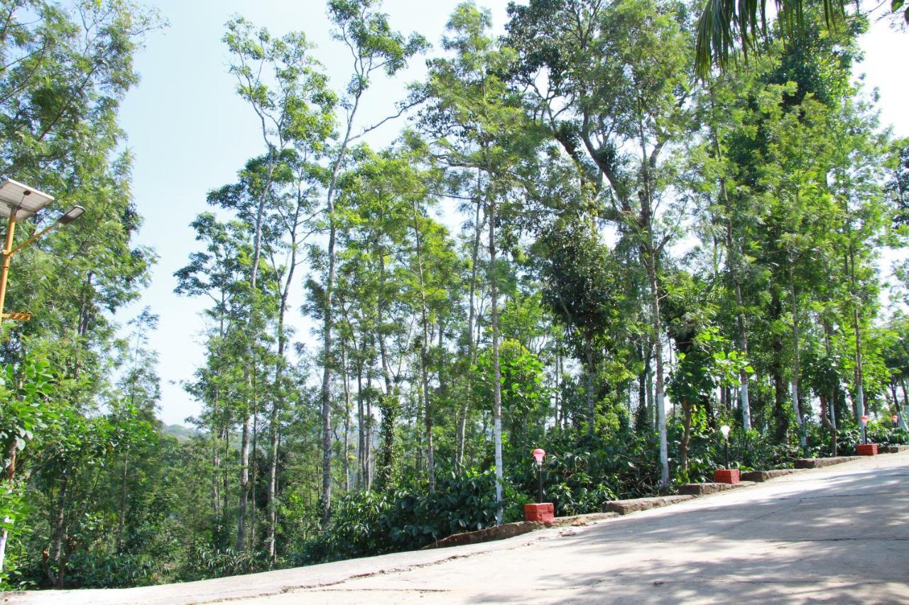 Kingmaker'S Plantation With River Stream Madikeri Luaran gambar