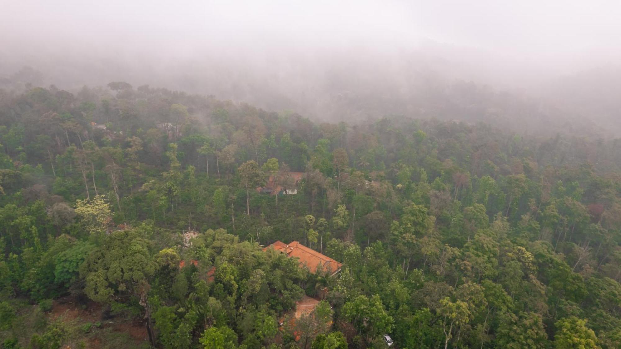 Kingmaker'S Plantation With River Stream Madikeri Luaran gambar