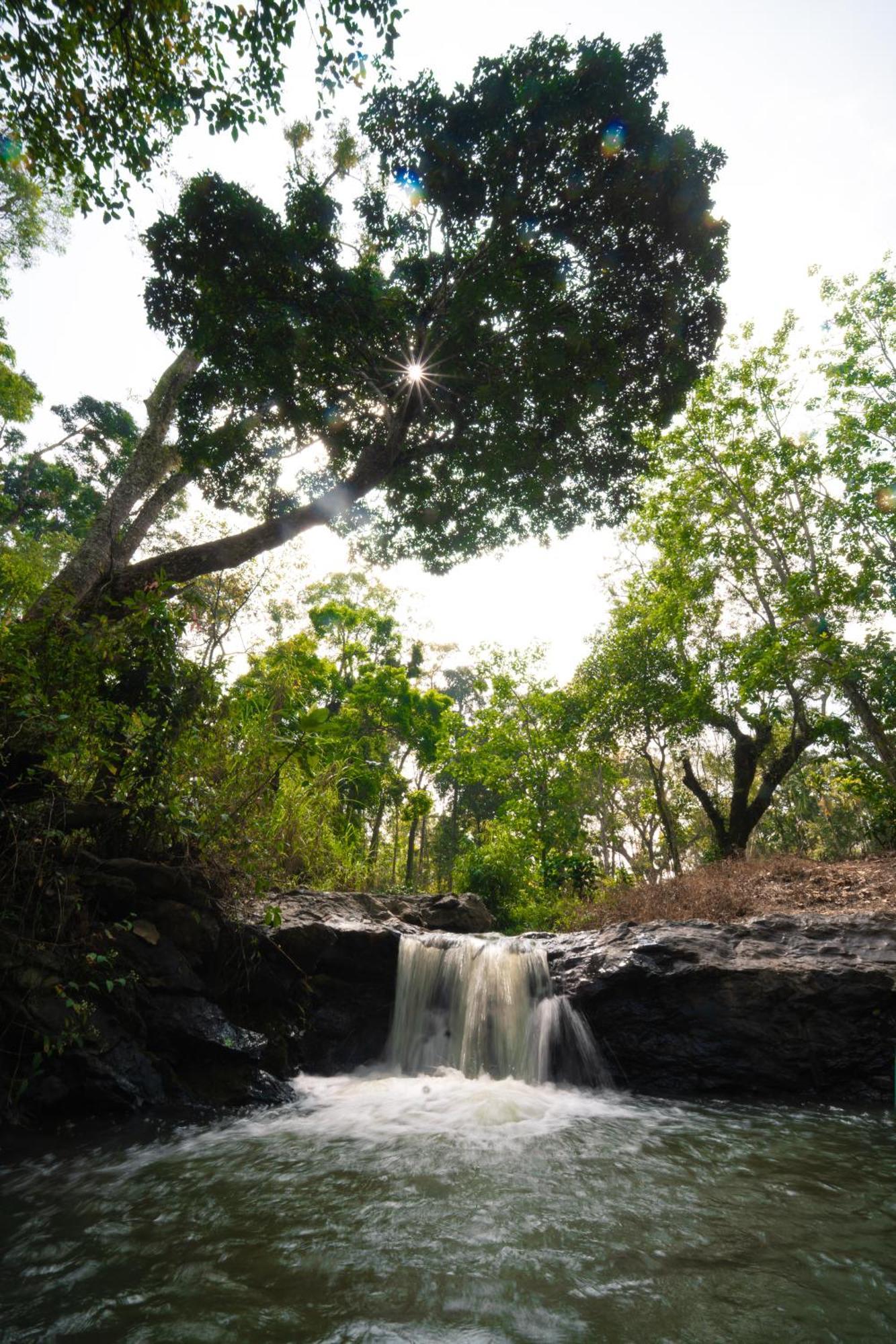 Kingmaker'S Plantation With River Stream Madikeri Luaran gambar
